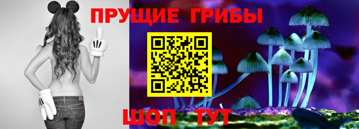 Псилоцибиновые грибы Magic Shrooms  как найти закладки  Галлюциногенные грибы ЛСД  Россия  Вход с VPN 